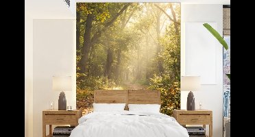 Behang - Fotobehang Zonlicht - Bospad - Bomen - Breedte 160 cm x hoogte 220 cm
