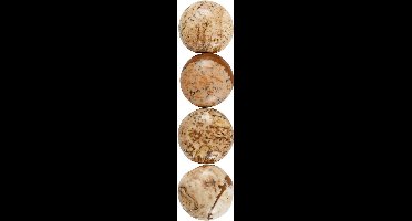 Creotime Cabochons Jasper Rond 14 Mm Multicolor 4 Stuks