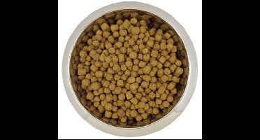 Yourdog Dwerg- of Toypoedel - Hondenbrokken - Senior - 12 kg