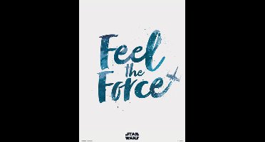 Star Wars Feel the Force - Art Print Poster 30x40cm