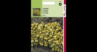 Hortitops Zaden - Postelein Breedbladige Gele