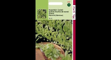 Hortitops Zaden - Raapstelen Gele