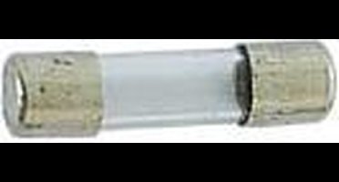 Zekering 5 X 20Mm Traag 0.08A (10St./Doos)