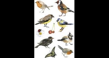 HERMA 3351 Stickers Décor Aquarel Vogels