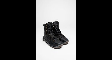 Renegade EVO ICE GTX (Navy/Donkergrijs)
