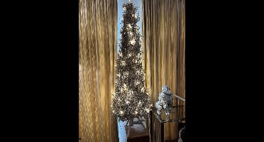 PTMD kerstboom met verlichting natuurhout - Hein white wash wood tree with LED lights