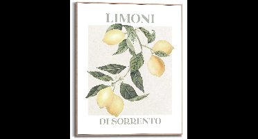 Schilderij Limoni - 50 x 40 - Hout - REINDERS