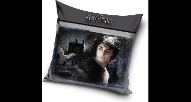 Harry Potter - Sierkussen Kussen 40 x 40 cm inclusief vulling