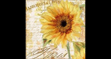 CraftEmotions servetten 5st - Tournesol 33x33cm Ambiente 13309655