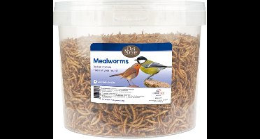 Deli Nature Greenline Meelwormen - 2 x 700 gr - Voordeelverpakking