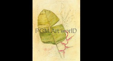 Kunstdruk Avery Tillmon - Botanical Journal I 56x71cm
