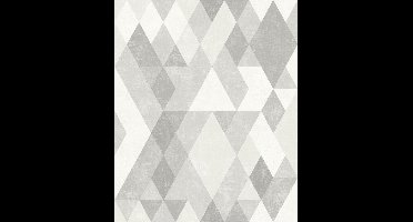 Hexagone ruit grijs modern (vliesbehang, grijs)