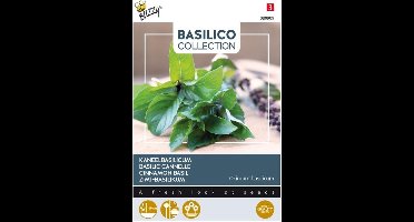 Buzzy - Kaneelbasilicum, Basilicum