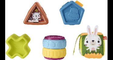 Fisher-Price Zintuiglijke Blokken Met Activiteiten