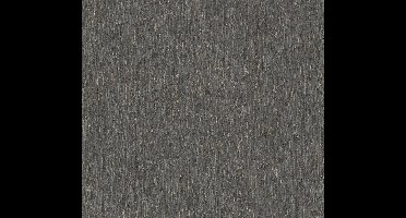 PLEISTERLOOK BEHANG | Modern - Zwart Zilver - LivingWalls Smart Surfaces