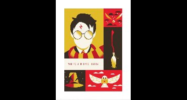WB Art of the 100th You're a Wizard Harry Art Print 30x40cm | Poster