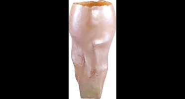 PTMD Forty Vaas - 17 x 17 x 36 cm - Glas - Peach
