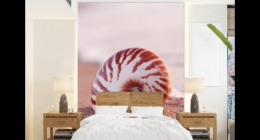 Behang - Fotobehang Schelp - Strand - Zee - Zand - Breedte 160 cm x hoogte 220 cm