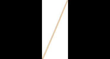 Bezemsteel 120/140/170 cm