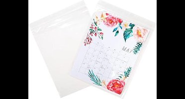 Gripzakken 20x25cm50 micron (100 stuks) | gripzak | ziplock zakken | ziplock zakjes