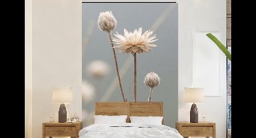 Behang - Fotobehang Strobloemen - Wit - Daglicht - Breedte 145 cm x hoogte 220 cm