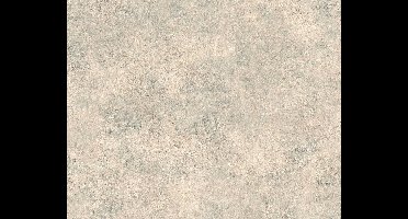 BETONLOOK BEHANG - Industrieel behang - AS Creation Best of Wood'n Stone 2 95406-2