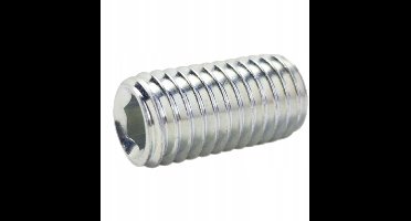 M5x12 Zonder Kop Schroef DIN 913 Verzinkt - 500 Stuks