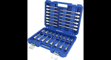 BRILLIANT TOOLS 30-delige Schroevendraaier doppenset 1/2" staal