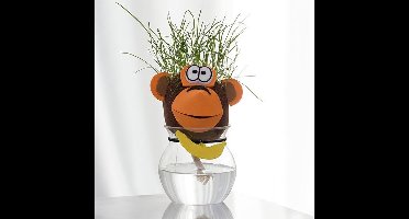 Dieren Graskop