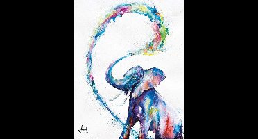 Marc Allante Elephant Poster 40x50cm