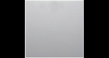 Hager Berker S.1/B.3/B.7 Schakelelement/Centrale Plaat - 16208989 - E2FDS