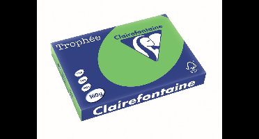 Clairefontaine Trophée Intens | gekleurd papier | A3 | 160 g | 250 vel | grasgroen