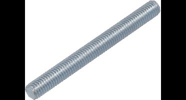 Hoenderdaal draadstuk M10x40mm verzinkt DIN976-1 klasse 4.8 - 100 stuks (3701.01.69601)