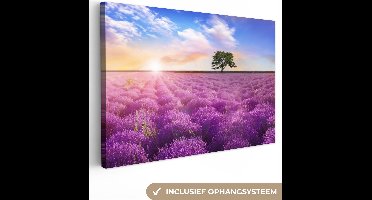 OneMillionCanvasses - Canvas - Schilderij - Lavendel - Bloemen - Boom - Zon - Landschap - Schilderijen op canvas - Foto op canvas - 180x120 cm - Wanddecoratie