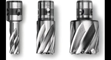 Fein 63133119051 HSS-Nova 25 kernboor - 12 x 25 mm - QuickIN