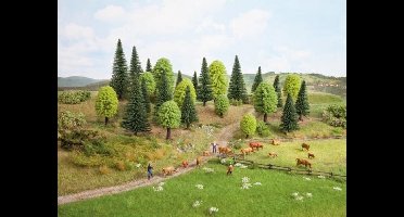 Gemengd bos / bomen