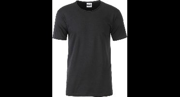 Fusible Systems - Heren James and Nicholson Standaard T-Shirt (Zwart)
