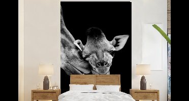 Behang - Fotobehang Dieren - Zwart - Wit - Giraffe - Portret - Breedte 160 cm x hoogte 240 cm