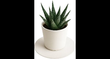 Matte PVC Onderzetter Potplant Diameter 15cm