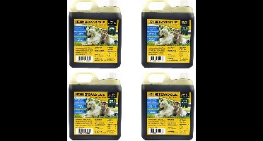 Hennepzaad Olie Utopia - Koudgeperst, Omega 3 & 6, Natuurlijke Vitamine E 1 Liter - 4 stuks - Multipack