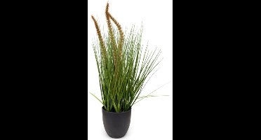 Pennisetum siergras in pot H 50 cm kunstplant Oosterik Home