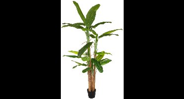 Reusachtige kunstbananenboom