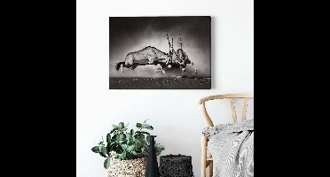 Canvas print DD123045 Duel A.S. Création 0,7 x 0,5 m Zwart / Antraciet Kantoor Hal/Gang Keuken Slaapkamer Woonkamer