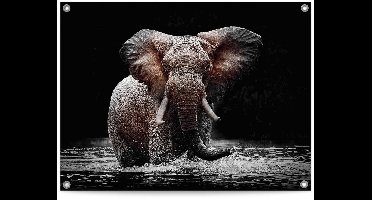 Tuinposter Olifant - 60 x 80 - Canvas - REINDERS