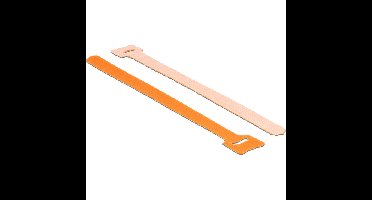 DeLOCK Hook-and-loop fasteners, 10 stuks kabelbinder
