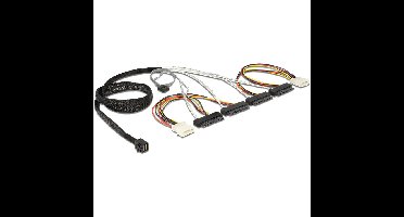 DeLOCK Mini SAS HD SFF-8643 naar 4x SAS SFF-8482 + 2x 4-pin 5,25" adapterkabel
