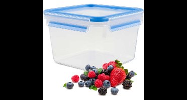 Emsa Clip & Close vershoudbakje, 1,75 L doos