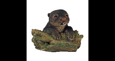 Ubbink Drijvende spuitfiguur Otter op Boomstam waterornament
