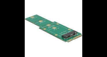 DeLOCK Adapter mSATA ->M.2 NGFF Slot