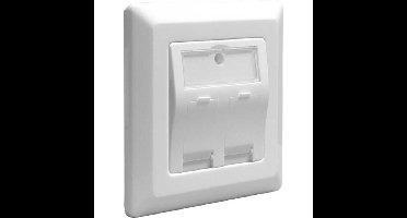 DeLOCK Keystone Wall Outlet 2 Port doos